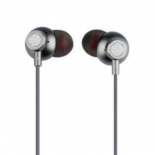 Earphones - grey