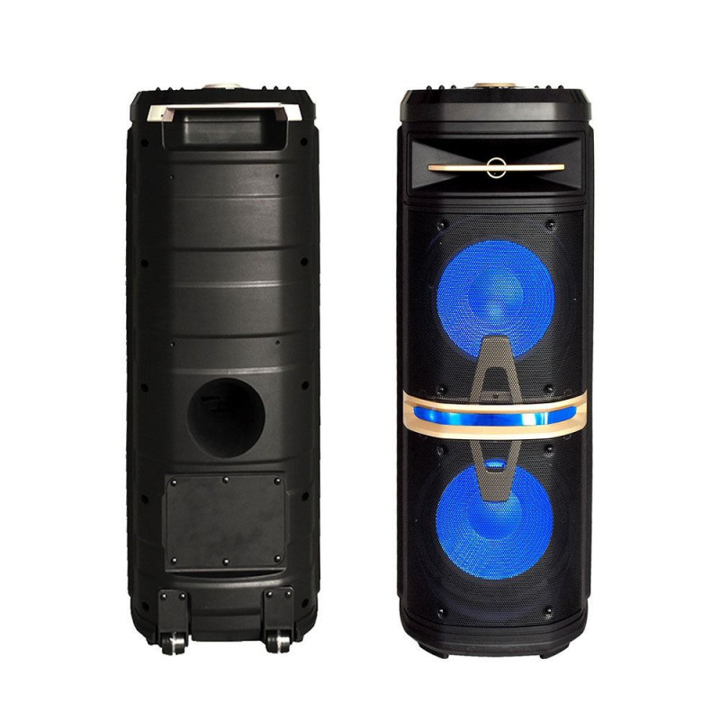 Portable Speaker - 120W, wired and wireless microphone included