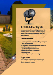 LED outdoor lights